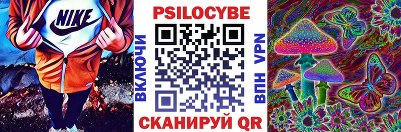 дарк нет Telegram  Курлово  Галлюциногенные грибы мицелий  купить закладку 